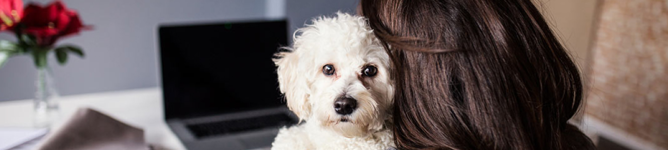 Woman holding dog at computer